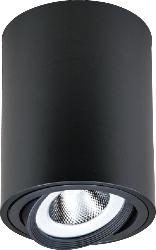 LED AR111砲管筒燈-Ø170mm