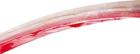 LED DC24V戶外型軟條燈-10W/米