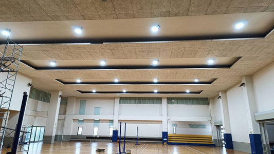 台南市私立中學室內羽球網球排球場-200W南極星飛碟天井燈