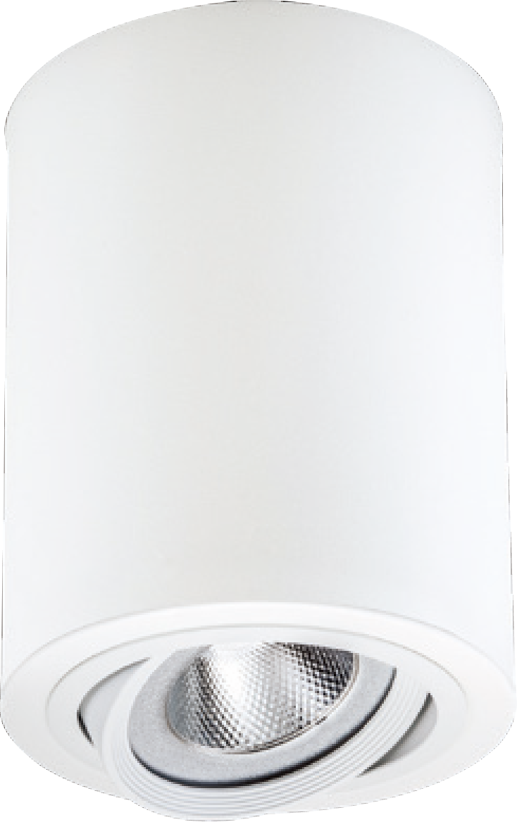 LED AR111砲管筒燈-Ø170mm