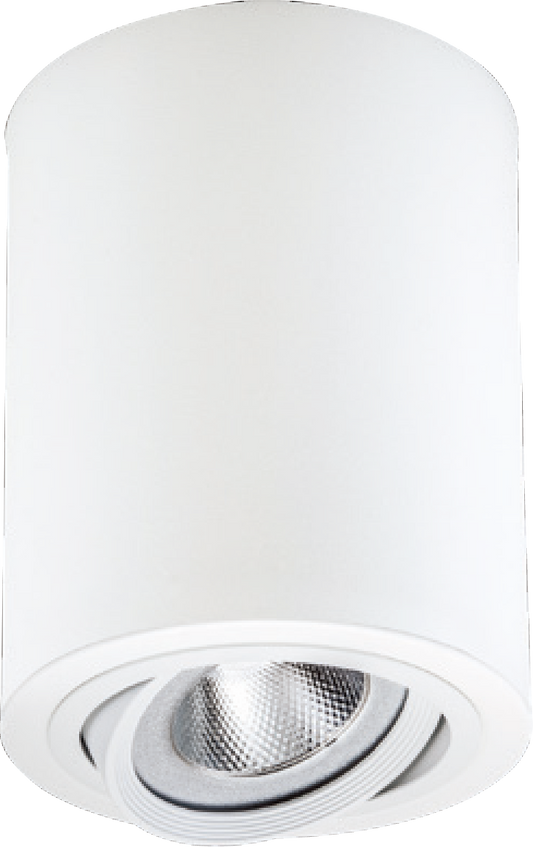 LED AR111砲管筒燈-Ø170mm